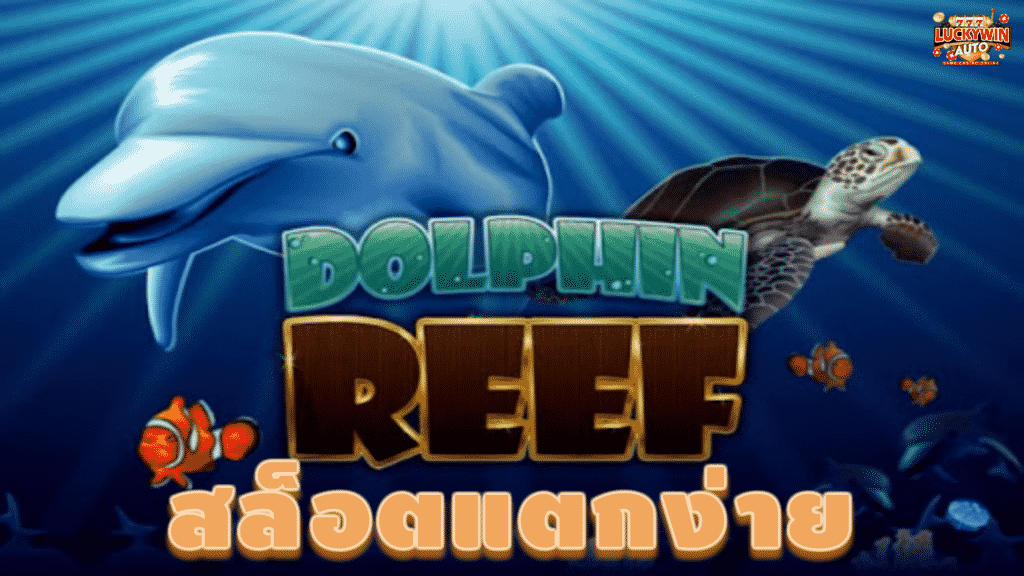 dolphin reef สล็อตแตกง่าย