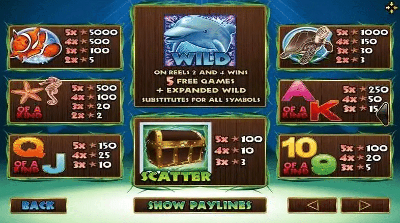 dolphin reef paytable