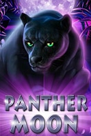 PANTHERMOON LIVE22